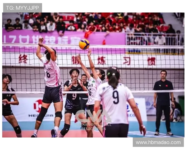 上海排球队的拼搏之路全国锦标赛特别报道展现奋斗精神与团队力量