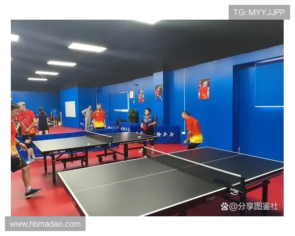 南京乒乓球队在防守与反击中的表现分析与战术得失探讨