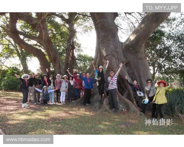 南京攀岩队引领节奏革新探索新高度的精彩之旅