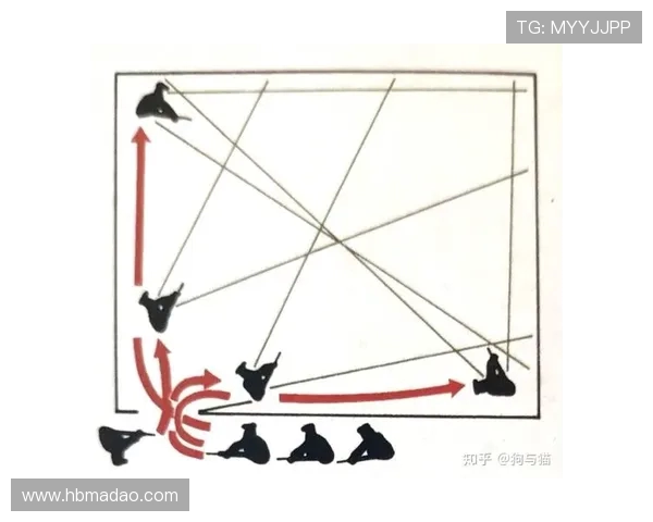 南京网球队整体压制打法解析与战术优势探讨 南京网球队整体压制打法解析与战术优势探讨