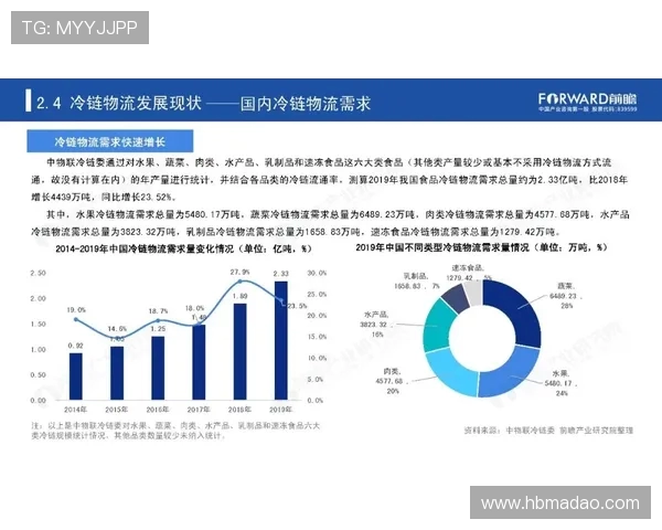 广州滑板队实力对比深度解析与未来发展展望