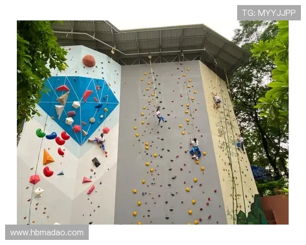 广州攀岩队的速度革命与热议攀岩的未来发展探讨