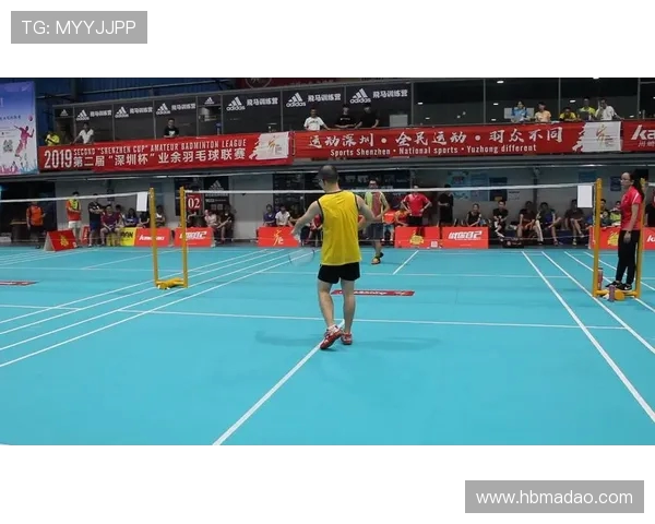 深圳羽毛球队在杯赛中的战术分析与表现评估