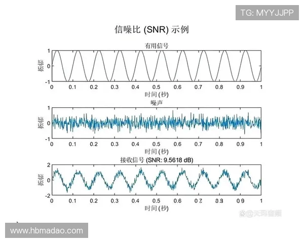 深圳飞盘队的成功运营模式与发展策略深度解析