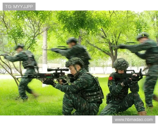 独家解析WE战队配合方式的异同与战术优势分析