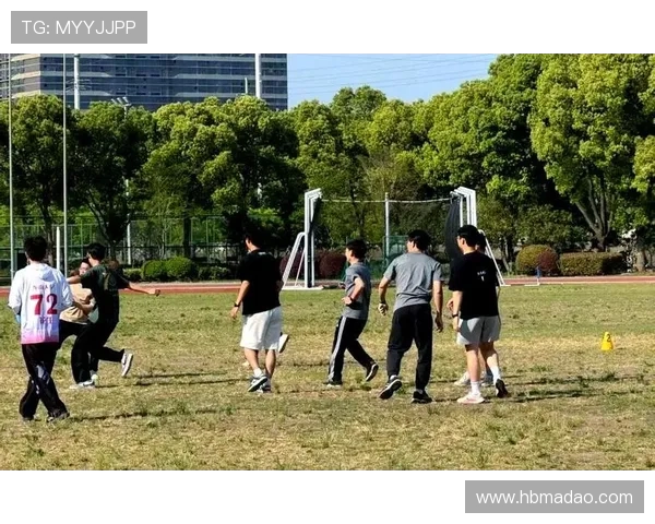 飞盘竞技的魅力与挑战重庆飞盘队的战术解析与团队协作探秘