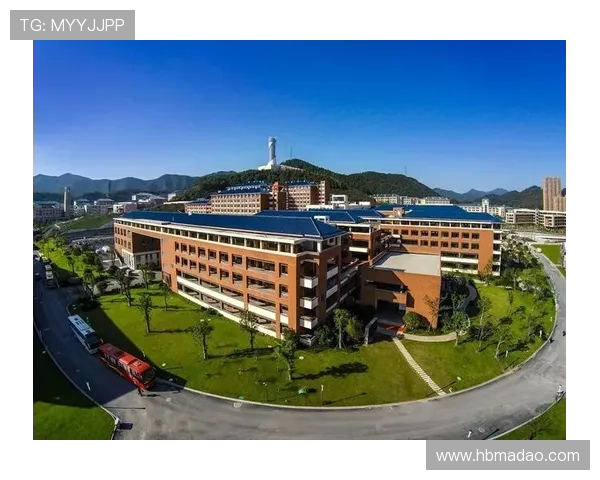 南京篮球队的团队协作精神如何推动球队发展与胜利之路