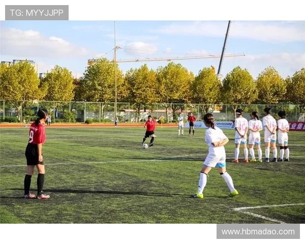 杭州极限运动队区域防守分析与战术调整探讨